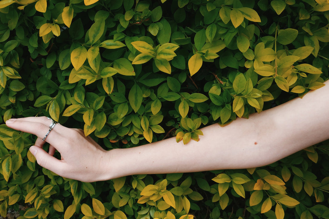 Eczema vs Psoriasis: Arm draped over green leaves